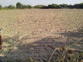 Commercial Land for Sale in Focal Point, Dera Bassi