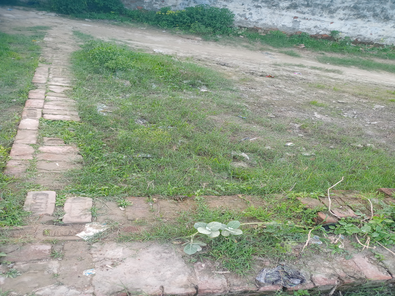  Residential Plot 100 Sq.ft. for Sale in Manjoor Garhi, Aligarh