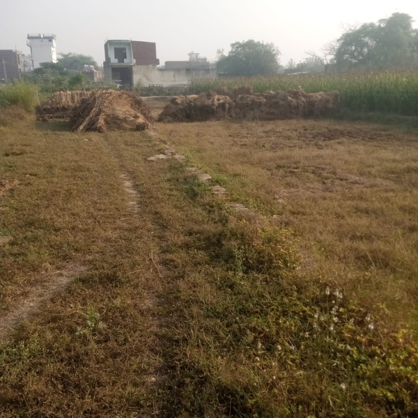  Residential Plot 100 Sq.ft. for Sale in Jawan, Aligarh