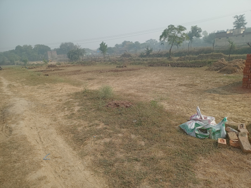  Commercial Land 500 Sq.ft. for Sale in Mahendra Nagar, Aligarh