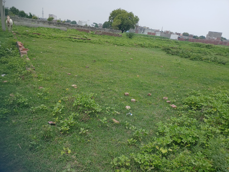  Agricultural Land 1 Bigha for Sale in Chharra Rafatpur, Aligarh