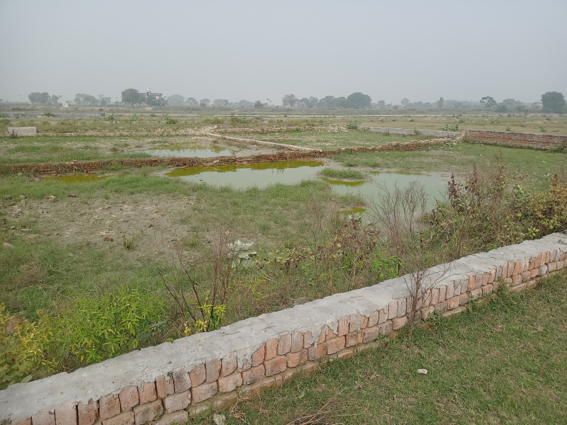  Residential Plot 100 Sq.ft. for Sale in Patwari Ka Nagla, Aligarh