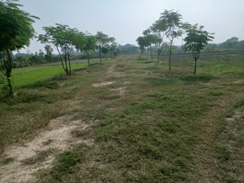  Residential Plot for Sale in Manjoor Garhi, Aligarh