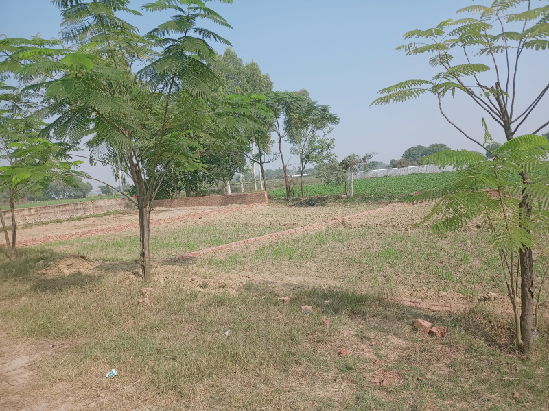  Residential Plot 2000 Sq.ft. for Sale in Manjoor Garhi, Aligarh