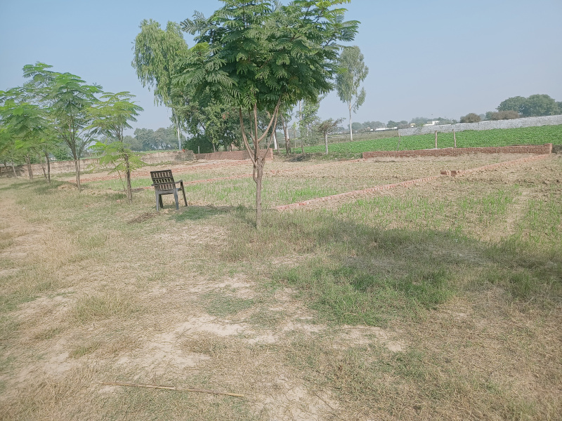  Residential Plot 2000 Sq.ft. for Sale in Manjoor Garhi, Aligarh