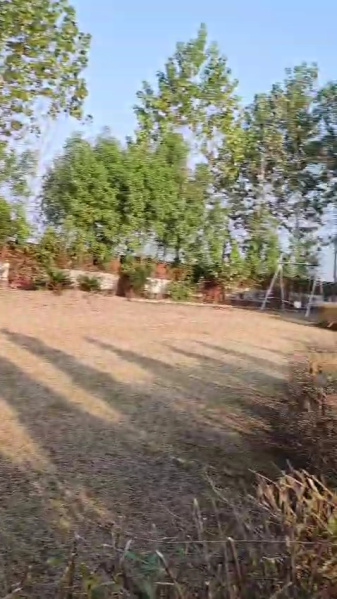 1 RK Farm House 14500 Sq.ft. for Sale in Anoopshahar Road, Aligarh