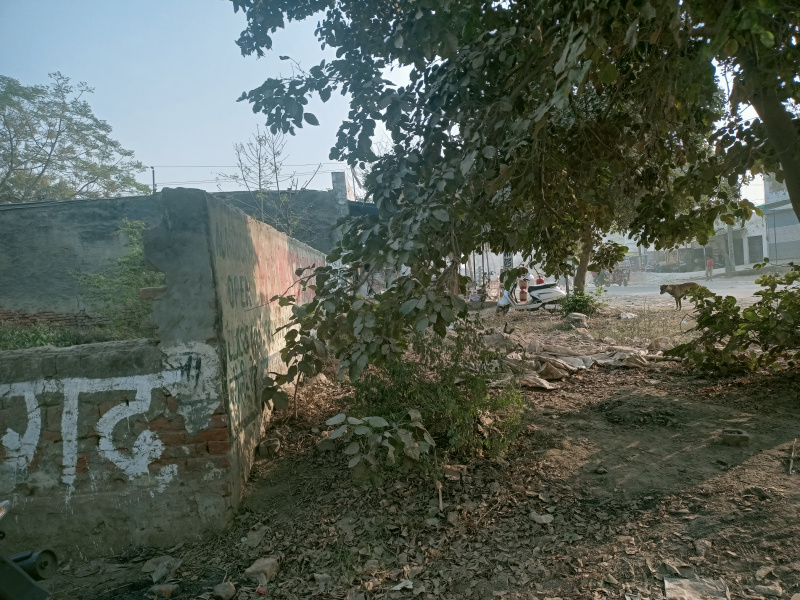  Commercial Land 770 Sq.ft. for Sale in Patwari Ka Nagla, Aligarh