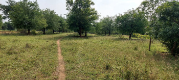  Agricultural Land for Sale in Papparapatti, Dharmapuri