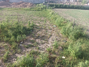  Agricultural Land for Sale in Banur, Mohali