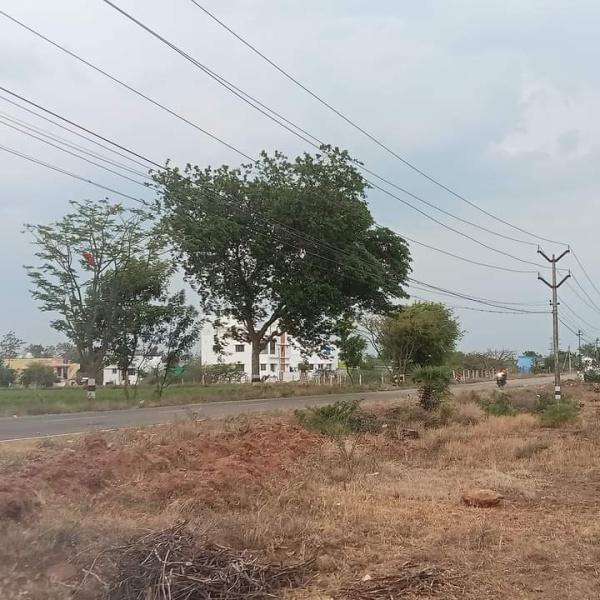  50 Cent Residential Plot for Sale in Watrap, Virudhunagar