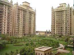 3 BHK Flat for Rent in Ats Paradiso, Greater Noida