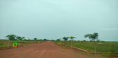  Industrial Land 1500 Sq.ft. for Sale in Patrapada, Bhubaneswar