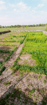  Agricultural Land for Sale in Vaidpura, Greater Noida