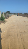 Agricultural Land for Sale in Shankarpally, Rangareddy