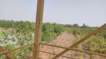  Agricultural Land for Sale in Similia, Dhenkanal