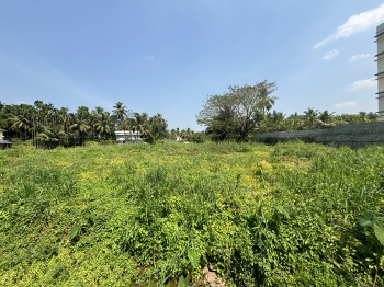 Industrial Land for Sale in Perinthalmanna, Malappuram