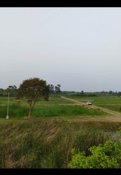  Residential Plot for Sale in Joka, Kolkata