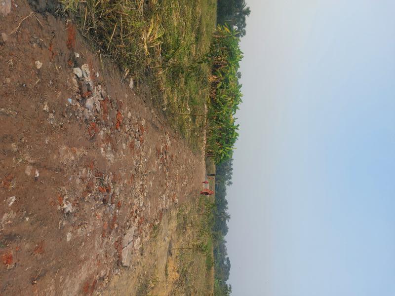  Residential Plot 700 Sq.ft. for Sale in Thakurpukur, Kolkata