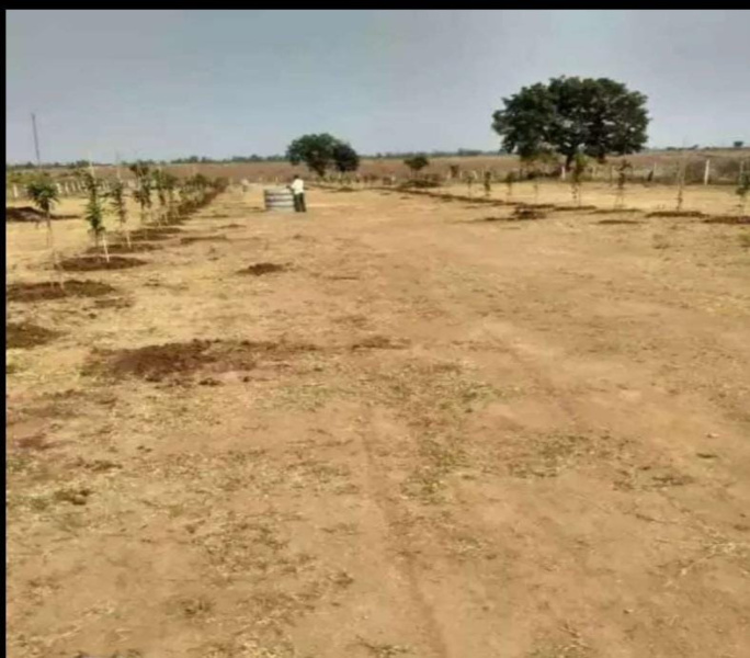  Agricultural Land 100 Sq. Yards for Sale in Timmapur, Hyderabad