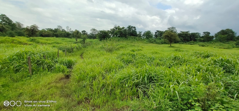  Agricultural Land 2 Acre for Sale in Neral, Raigad