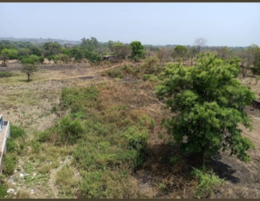  Residential Plot 2 Acre for Sale in Neral, Raigad