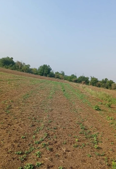  Agricultural Land for Sale in Sonegaon  Nipani, Nagpur