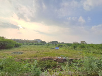  Agricultural Land for Sale in Ambasamudram, Tirunelveli