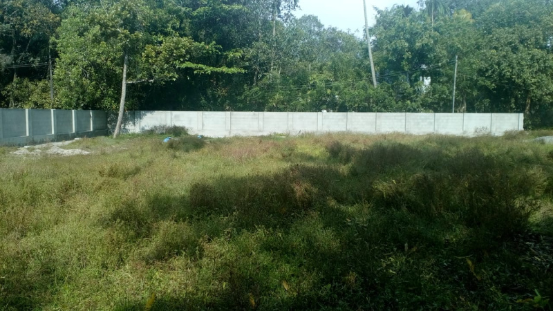 Residential Plot 36 Cent for Sale in