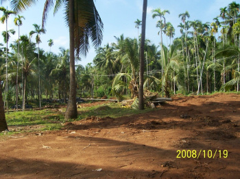  Residential Plot for Sale in Parappur, Thrissur