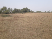  Residential Plot for Sale in Balugaon, Khordha