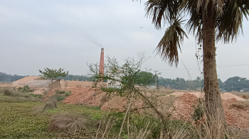  Commercial Land for Sale in Gokulpur, Kataganj, Nadia