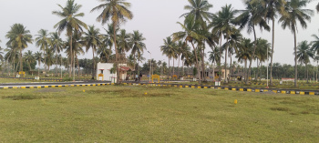  Residential Plot for Sale in Thiruporur, Chennai