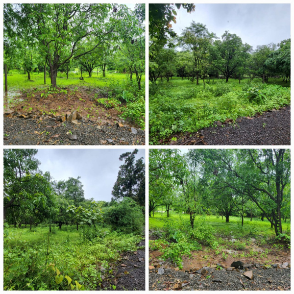  Commercial Land 21780 Sq.ft. for Sale in Pali, Raigad