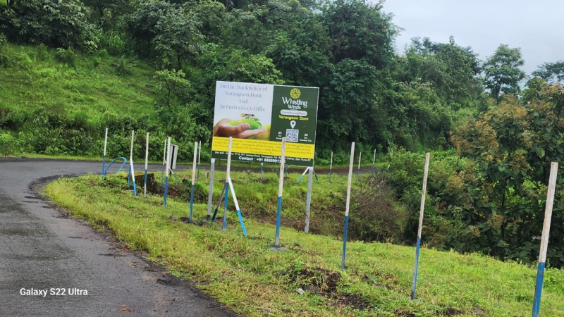  Residential Plot 5500 Sq.ft. for Sale in Panshet, Pune