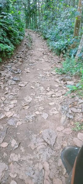  Residential Plot 16 Cent for Sale in Pandalam, Pathanamthitta