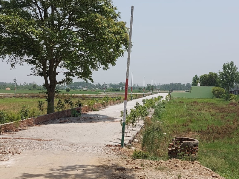  Residential Plot 1350 Sq.ft. for Sale in Ramnagar Road, Kashipur