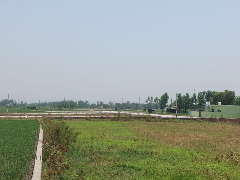  Residential Plot 1350 Sq.ft. for Sale in Ramnagar Road, Kashipur