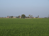  Agricultural Land for Sale in Khajuraho, Chhatarpur