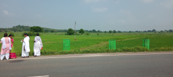  Commercial Land for Rent in Purisili, Seraikela Kharsawan