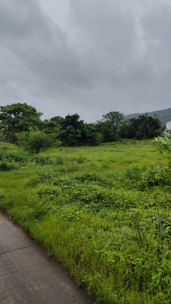  Agricultural Land 160 Guntha for Sale in Khopoli, Raigad