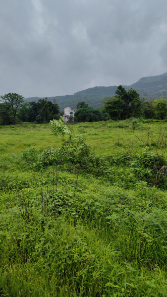  Agricultural Land 160 Guntha for Sale in Khopoli, Raigad