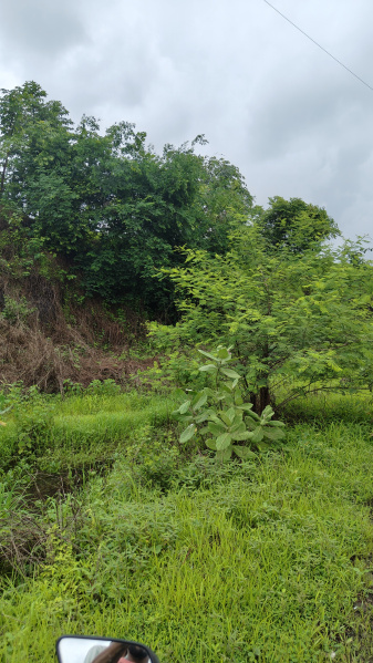  20 Guntha Agricultural/Farm Land for Sale in Khalapur, Raigad