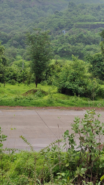  20 Guntha Agricultural/Farm Land for Sale in Khalapur, Raigad