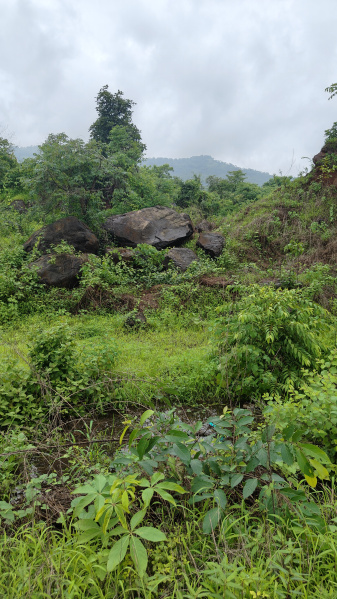  20 Guntha Agricultural/Farm Land for Sale in Khalapur, Raigad