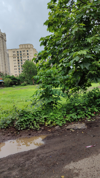 Residential Plot 93 Guntha for Sale in Bhokarpada, Navi Mumbai