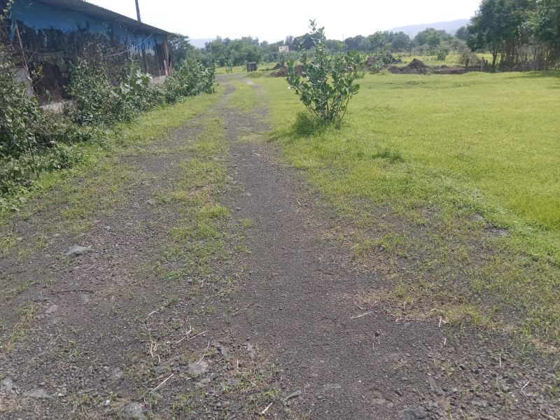  Agricultural Land 560 Guntha for Sale in Alibag, Raigad