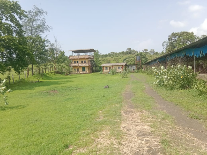  Agricultural Land 560 Guntha for Sale in Alibag, Raigad