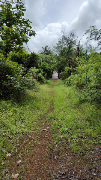  Agricultural Land 20 Guntha for Sale in Ambernath, Thane