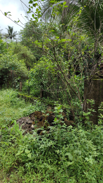  Agricultural Land 10 Guntha for Sale in Ambernath, Thane