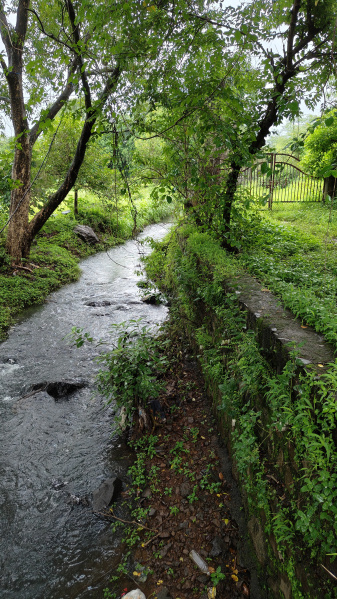  Agricultural Land 92 Guntha for Sale in Ambernath, Thane